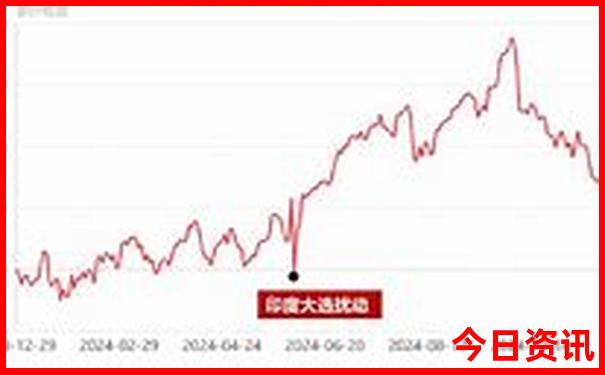 2025澳门天天开好彩精准12码