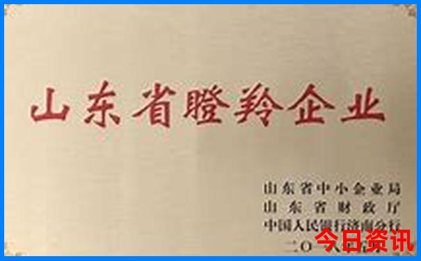340999com查询网站